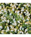 Shower Steamer | Relax | 3 Pack